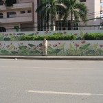 21 Hanoi Mural lotus flowers